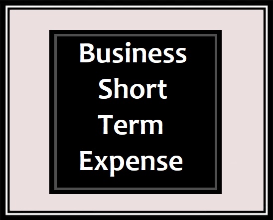 Business Short Term Expense Report Template