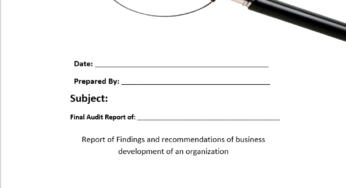 Internal Audit Plan Template