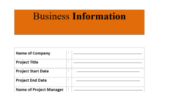 Business Proposal Plan Template