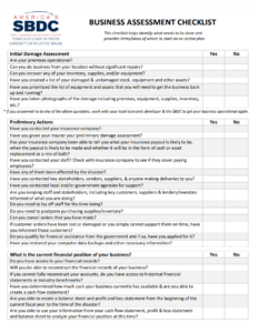 Business Assessment Template | Free Word & Excel Templates