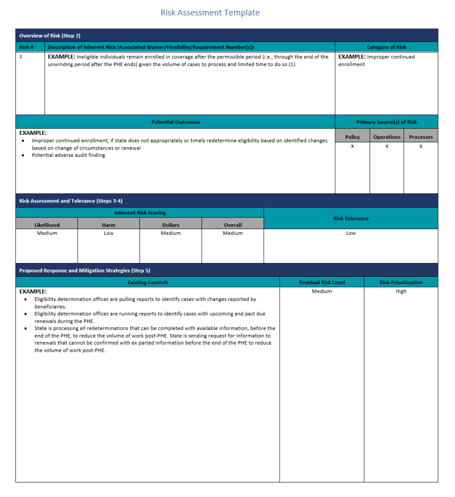 Professional Risk Assessment Template