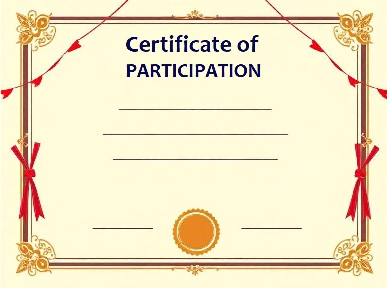 Professional Certificate of Participation Template