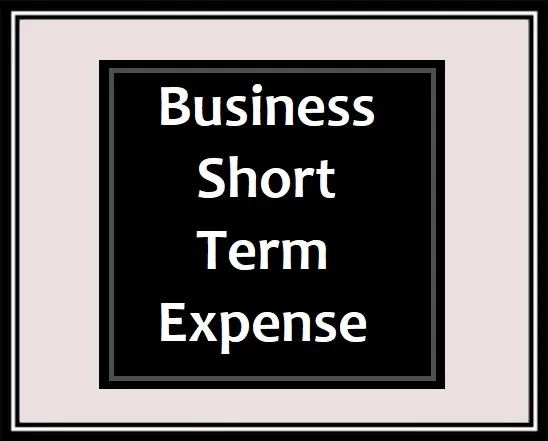 Business Short Term Expense Report Template