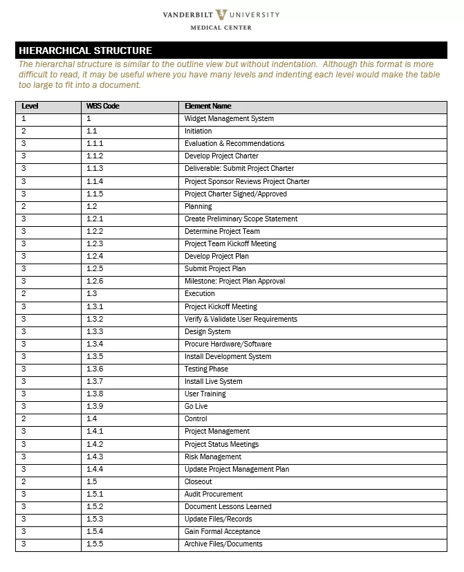 Work Breakdown Structure Format
